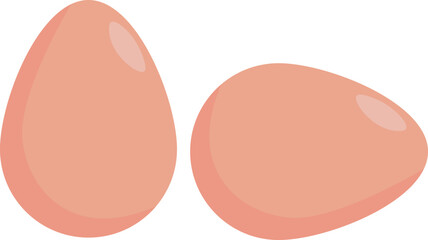 fresh raw eggs vector illustration isolated on white background