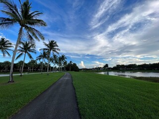 Florida Nature