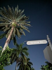 Naklejka premium Florida Nature