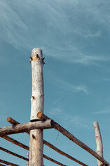 Beach pergola made of thick logs.