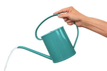 Gesture series: hand with watering can.