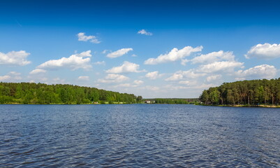 Obraz premium Pond in summer on the background of forest and sky with clouds