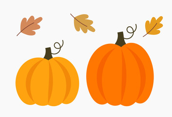 Autumn pumpkins and leaves isolated on white background.