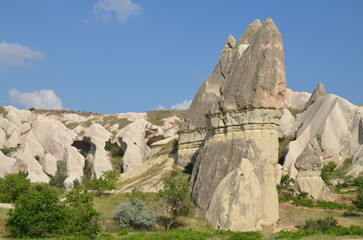 bizarre rock formation with trees in Cappadocia, turkey