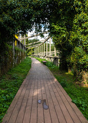 Historical and archaeological complex 