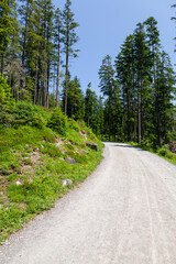 Fototapeta na wymiar Panoramic view of country road in the Alps mountains