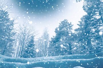  Frozen winter forest with snow covered trees.