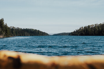 Sunny summer lake