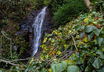 A waterfall in Tsikhisdziri, Georgia. Autumn time.