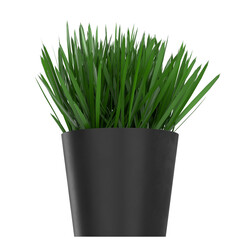 3d rendering illustration of grass in a pot
