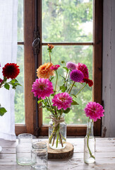 Fiori in vaso e bottigliette di vetro con fiori di dalia di vario colore di fronte una finestra di legno