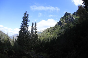 Obraz premium Autumn in Tatra Mountains, Dolina Białej Wody