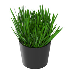 3d rendering illustration of grass in a pot