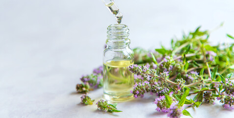 Essential oil of thyme in a bottle. Selective focus.