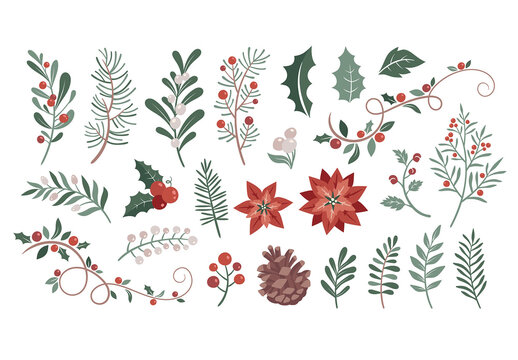 Christmas Foliage Illustrations