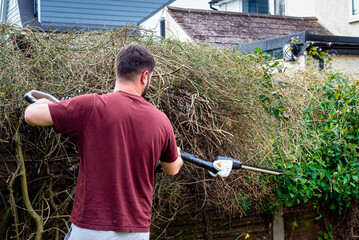 Male garden worker using hedge trimmers to cut branches from overgrown hedge over garden fence.