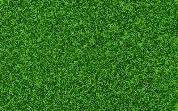 Grass texture. Green lawn background. Realistic fresh field. Summer meadow template. Garden or backyard concept. Green grass carpet. Eco wallpaper. Vector illustration