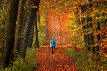 Kobieta idąca z koszykiem ścieżką w lesie pokrytą jesiennymi liśćmi