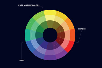 Obraz premium color wheel with tints and shades template vector illustration. 