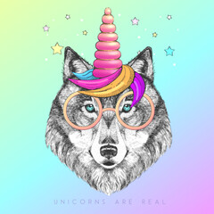 Handrawing animal wolf wearing cute glasses with unicorn horn. T-shirt graphic print. Vector illustration