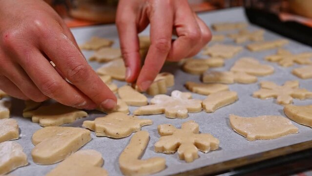 Cropped view of a chef's hands putting carved dough cookies on a baking sheet, before baking in the oven. Christmas gingerbread. Selective focus. Bakery. Confectionery. Culinary. Traditional recipe