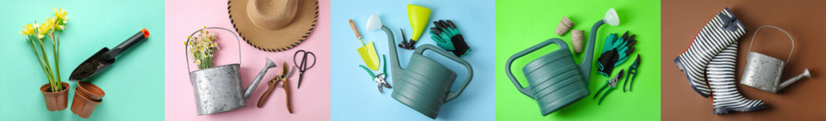 Set of different gardening supplies on colorful background, top view
