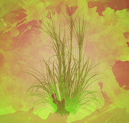 Illustration végétale, fondu, environnement, plante, végétaux, silhouette tiges et feuilles, plantes élégantes, illustration nature, écologie, zen, détente, pleine nature