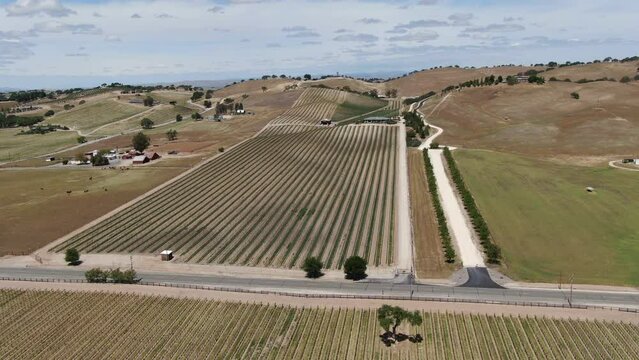 California Wine Country Paso Robles Vineyard Aerial Shot Forward Down