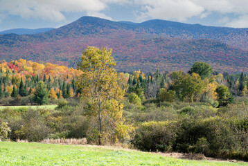 Fototapeta na wymiar Autumn scene in the White Mountains. Scenic view of colorful fall foliage and treelined mountains from hillside in rural Lancaster, New Hampshire.