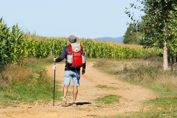 Camino de Santiago pilgrim man  to Compostela with unfocused corn plantation in background , near Astorga vlilage in  Leon , Spain - obrazy, fototapety, plakaty