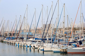 View of beautiful yachts at resort on sunny day