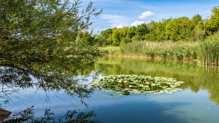 Obraz na płótnie Canvas Lake in the green arch near Leipzig in bright sunshine