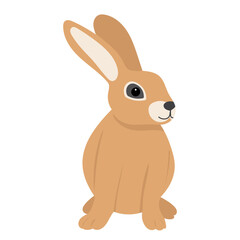 rabbit on white background isolated vector