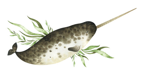 Watercolor arrangement with narwhal and seaweeds. Retro underwater composition for creative design
