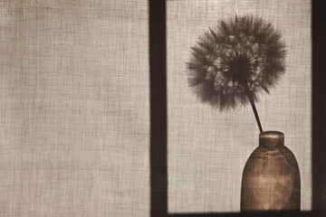 Abstract background. Silhouette of a dandelion in a vase and an empty frame behind a cotton fabric. Fabric background with copy space.