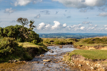 An idyllic view in Dartmoor National Park in Devon