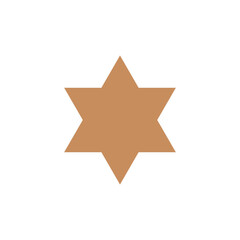 Decorative Star Icon Vector Logo Template