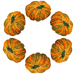 Watercolor illustration of a green striped pumpkin wreath