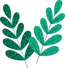 Green branches with leaves in the snow. Natural elements, texture, silhouette. Simple, modern style. To create templates, banners, stickers. Isolated, vector.
