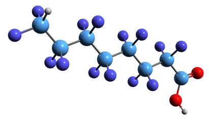 Fotobehang 3D image of Perfluorooctanoic acid skeletal formula - molecular chemical structure of PFOA isolated on white background  © kseniyaomega