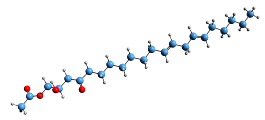  3D image of Persin skeletal formula - molecular chemical structure of fungicidal toxin isolated on white background