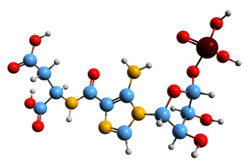  3D image of Phosphoribosylaminoimidazolesuccinocarboxamide skeletal formula - molecular chemical structure of purines intermediate isolated on white background