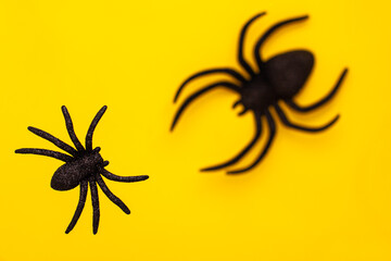 Flat lay levitation of two black horror spiders of different sizes directions on yellow backdrop with copy space. Halloween decoration spooky background concept for holidays