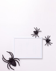 Flat lay of mockup template white frame and black horror spider on white background and copy space. Holiday autumn concept backdrop.