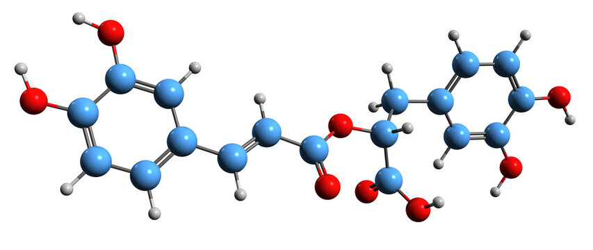 3D image of Rosmarinic acid skeletal formula - molecular chemical structure of rosemary polyphenol isolated on white background
