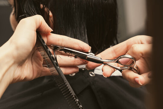 Hair care, beauty industry concept. Hairdresser doing haircut closeup of work. Hairstylist does cutting hair tips of a female customer in a beauty salon. Womens fashion and style