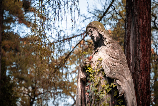 Historic Rakowicki Cemetery In Krakow.