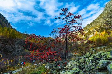Autunno in Valle Stura: tripudio di colori, vette, laghi, cascate e flora alpina