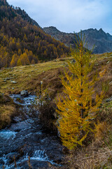 Autunno in Valle Stura: tripudio di colori, vette, laghi, cascate e flora alpina