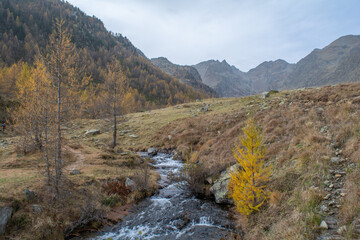 Autunno in Valle Stura: tripudio di colori, vette, laghi, cascate e flora alpina